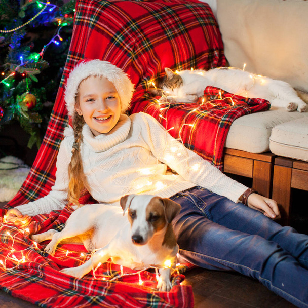Smiling girl with pets near christmas tree at home - Fotografie, Obrázek