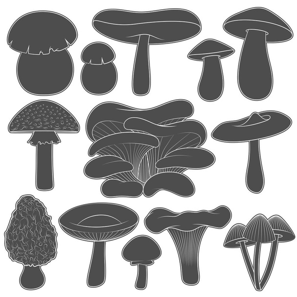 Set of black and white images with mushrooms. Isolated vector objects on white background. - Vektori, kuva