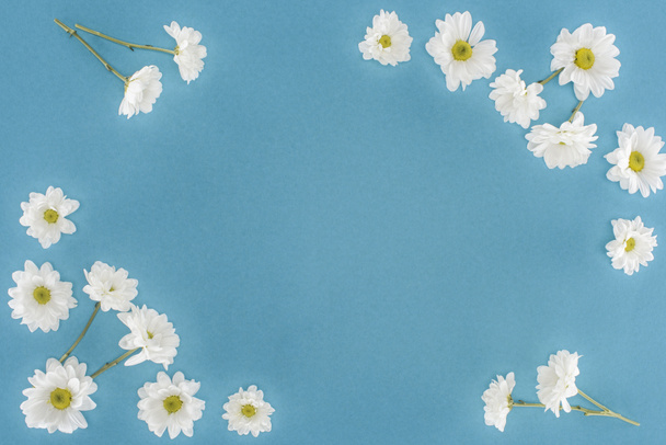 marco de flores de crisantemo blanco aislado en azul
 - Foto, Imagen