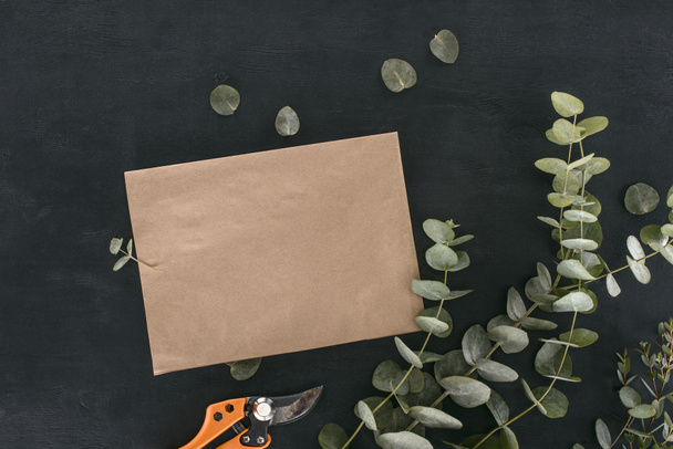 top view of blank paper envelope with garden shears and eucalyptus branches over black background - Photo, Image