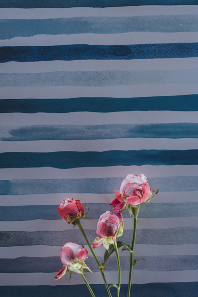 pink peony flowers over striped aquarelle background - Fotoğraf, Görsel