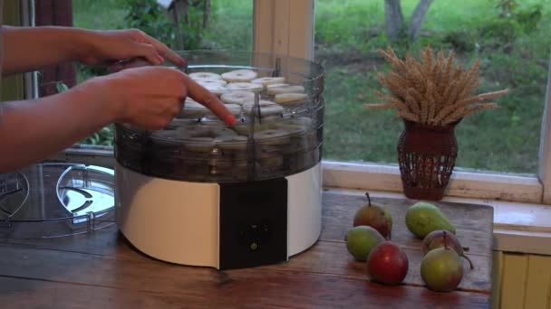 Hände legen Geschirr voller Birnenscheiben auf einen Obsttrockner. Nahaufnahme. 4k - Filmmaterial, Video