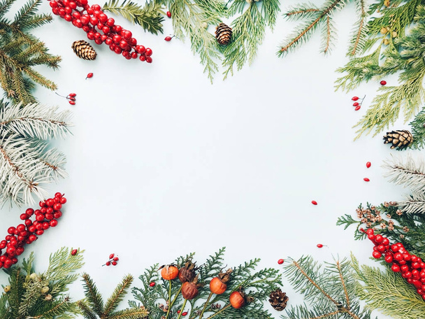 Vánoční pozadí. Květinové rám vyrobený z vánoční jedle, smrk, větve stromu thuja, červené bobule, šišky. Plochá ležel, horní pohled, kopie prostor - Fotografie, Obrázek