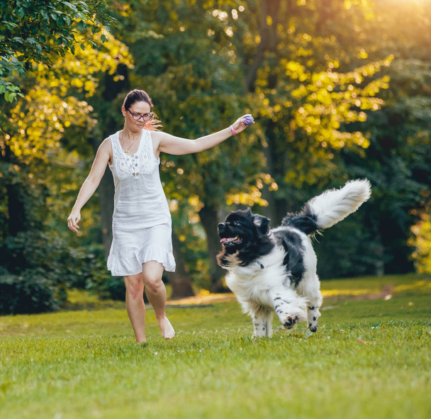 Újfundlandi kutya játszik a kaukázusi nő zöld parkban - Fotó, kép