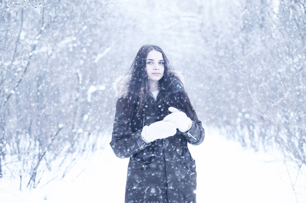 美しい冬の雪で美しい少女 - 写真・画像