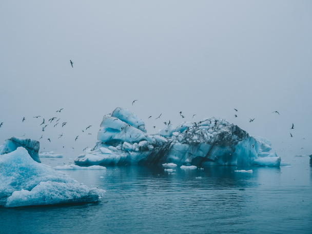 glacier ice - Photo, Image