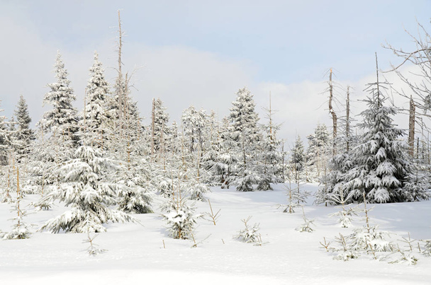 Ore Mountains Klinovec République tchèque en hiver
,  - Photo, image