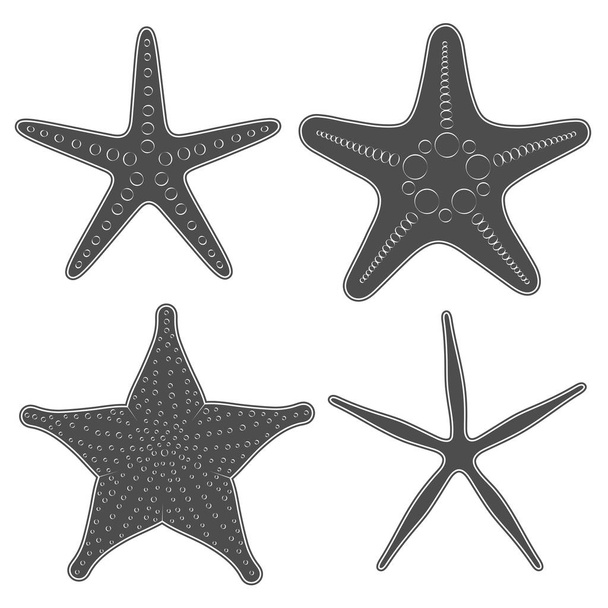 Set of graphic black and white images of sea stars. Isolated vector objects on white background. - Вектор, зображення