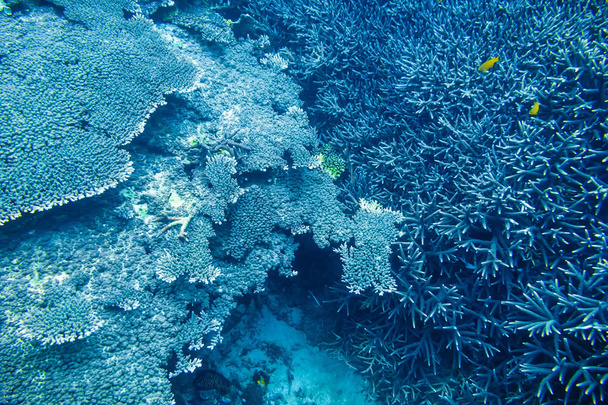 Bela natureza. Textura da água no oceano
 - Foto, Imagem