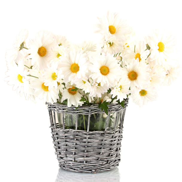 daisies in vase isolated on white - Φωτογραφία, εικόνα