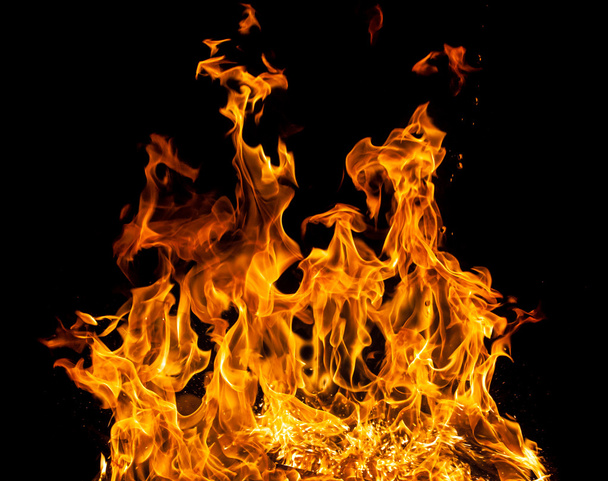 Fire flames on a black background - Fotografie, Obrázek