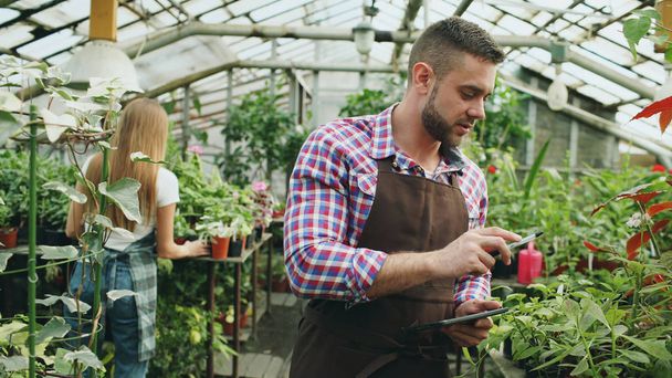 Young man working in garden center. Attractive guy check and count flowers using tablet computer during work in greenhouse - Foto, Bild
