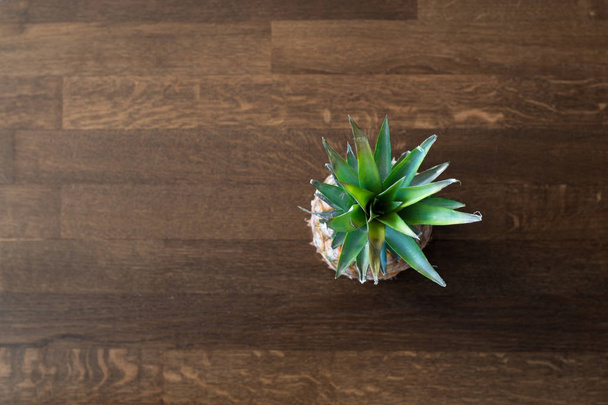 Pineapple on wooden table. Pineapple leaves. Food concept. Minimal fruit concept. - Foto, afbeelding