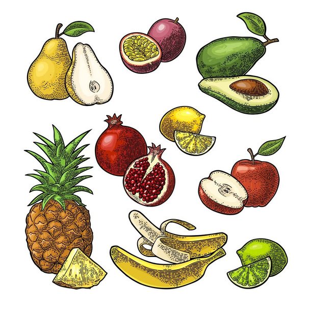 Set fruits. Pineapple, lime, banana, pomegranate, maracuya, avocado. - Вектор,изображение