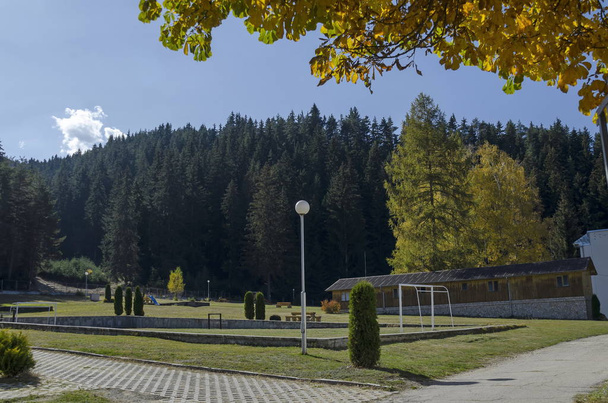 Podzimní pohled směrem k veřejné zahrady s přirozeného lesa a nové letní školky, Rilského pohoří, Bulharsko  - Fotografie, Obrázek