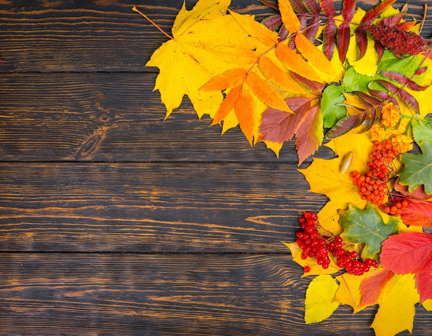 Fundo de outono com rowan e amarelo, folhas vermelhas
. - Foto, Imagem