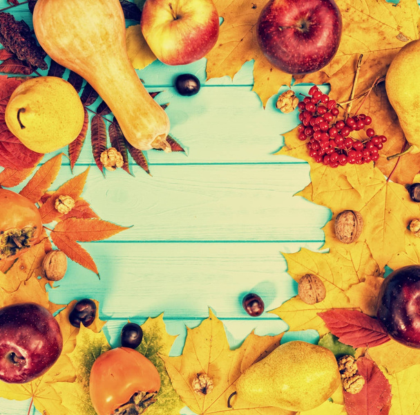 Autumn leaves, apples, walnuts, chestnuts and pumpkins on blue w - Foto, Imagem