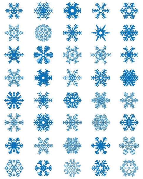 Set verschiedener blauer Schneeflocken auf weißem Hintergrund - Vektor, Bild