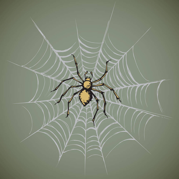 Araña. Ilustración vectorial
 - Vector, imagen