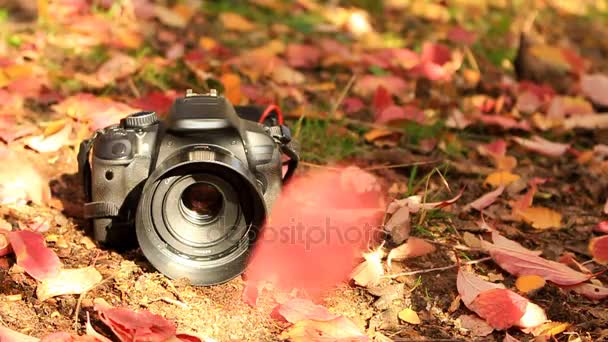 Σε μια μαύρη φωτογραφική μηχανή Dslr ξαπλωμένος στο έδαφος, πέφτουν το φθινόπωρο τα φύλλα - Πλάνα, βίντεο