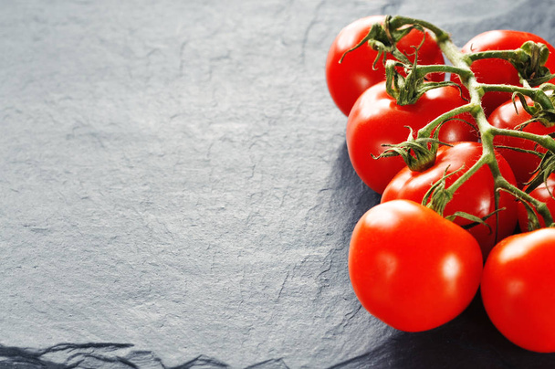Fresh red tomatoes on a branch on the dark blue background - Fotoğraf, Görsel