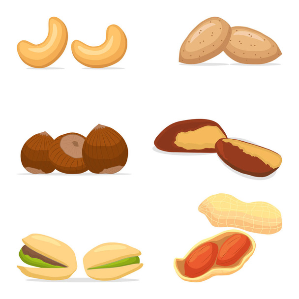 Векторная иллюстрация для спелых орехов
 - Вектор,изображение