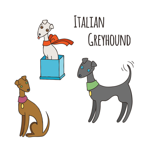 イタリアン ・ グレーハウンド漫画犬セット. - ベクター画像
