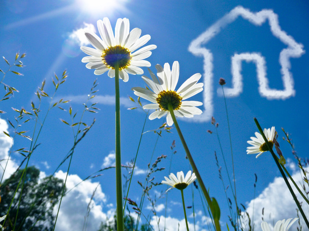 çiçek-shot gökyüzünde bir ev ile güzel bir portre. Konsept Emlak iş ve aile ev güvenliği için - Fotoğraf, Görsel