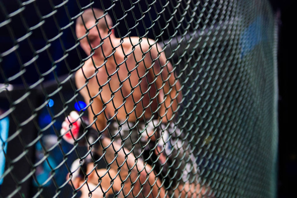  MMA Boxers lutam em lutas sem regras no ringue o
 - Foto, Imagem