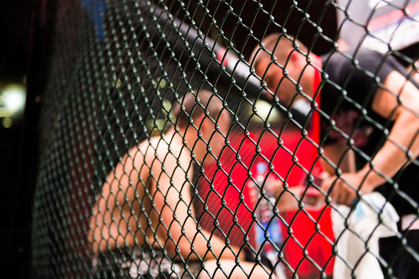  MMA Boxers lutam em lutas sem regras no ringue o
 - Foto, Imagem