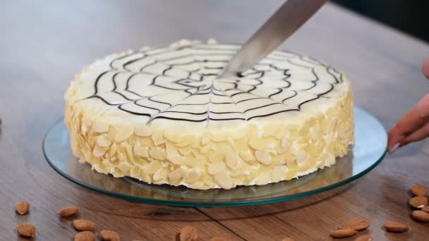 Beautiful cake of Esterh zy. Girl cook confectioner cuts a knife cake on slices - Footage, Video