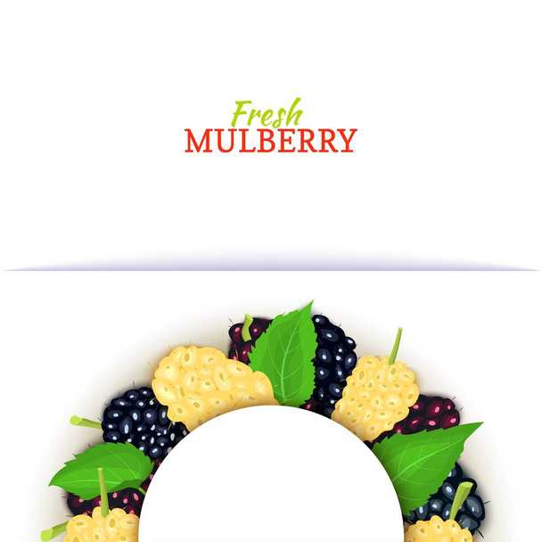 Félkörben színes keret, gyümölcs finom eperfa áll. Vektor kártya illusztráció. Mulberryt bogyó félkerek keret dizájn Élelmiszer csomagolás gyümölcslé reggeli kozmetikumok tea méregtelenítő diéta. - Vektor, kép