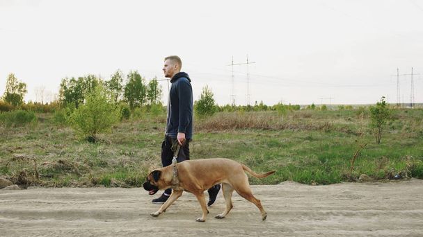 Young sporty man walking with his bullmastiff dog outdoor at nature after crossfit training - Foto, afbeelding
