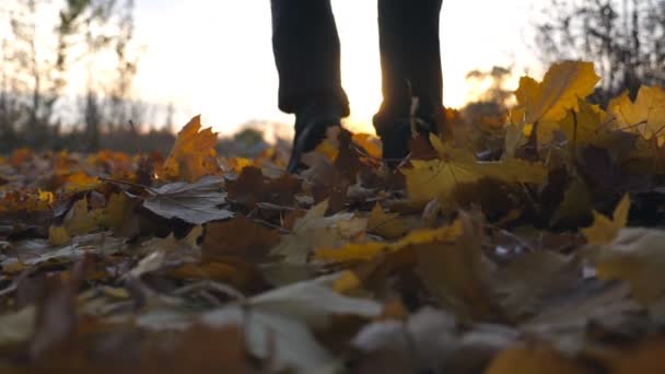 Young Man jogging in autumn park stepping on dry leaves. Guy running through autumnal landscape. Beautiful nature background. Close up Slow motion - Footage, Video