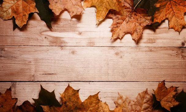 Maple φύλλα το φθινόπωρο σε φόντο - Φωτογραφία, εικόνα