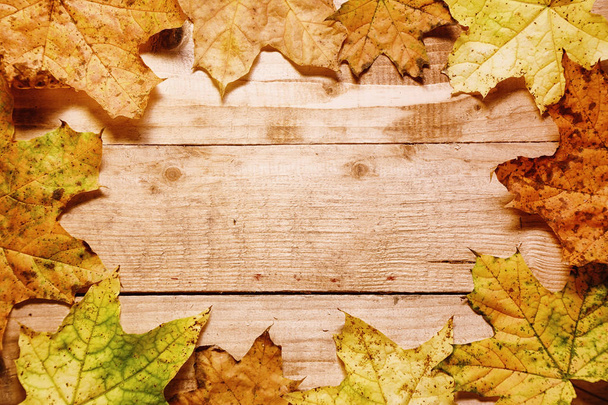 Φύλλα σφένδαμου το φθινόπωρο σε ένα ξύλινο - Φωτογραφία, εικόνα