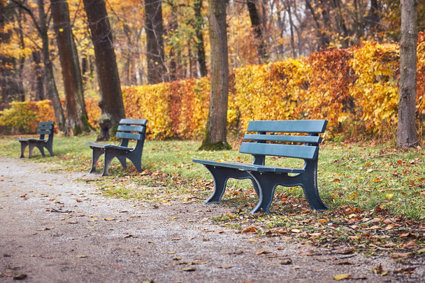 Bench egy parkban  - Fotó, kép