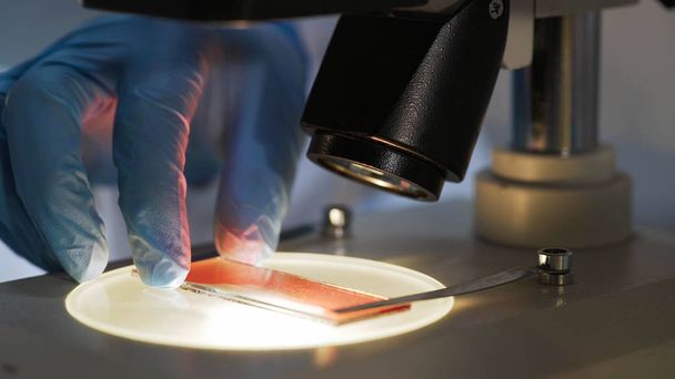 Medical scientist studying blood sample under microscope, biochemical research - Φωτογραφία, εικόνα