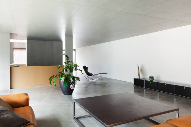 Modern living room view - Фото, изображение