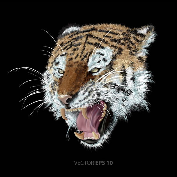 Tiger head on black background vector illustration. - Vetor, Imagem