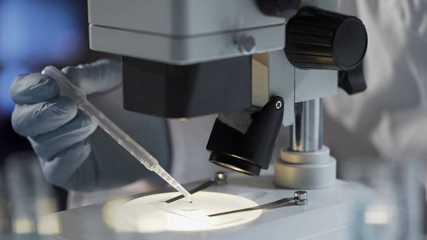 Laboratory worker preparing biological material, DNA test to establish paternity - Foto, Bild