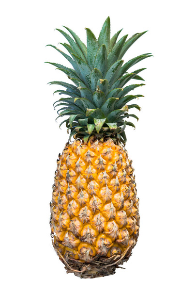 view of fresh pineapple isolated on white background - 写真・画像