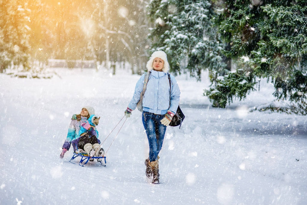 Mom rolls her little daughter on the sled in winter - 写真・画像