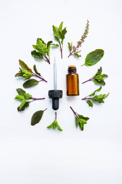 Holy Basil Essential Oil in a Glass Bottle with Fresh Holy Basil - Photo, image