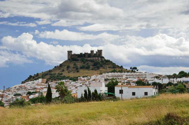 スペインの城は丘の上 - 写真・画像