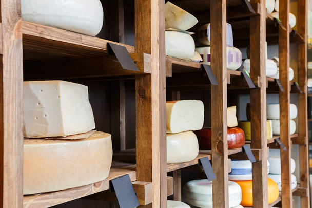 Cheese shop shelves, large cheese assortment - Photo, Image