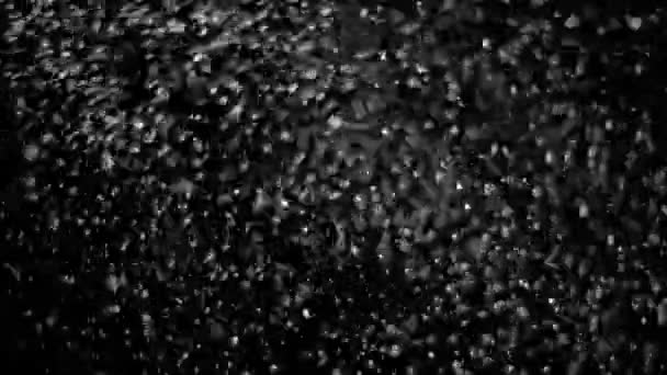 Πραγματική πτώσης χιονιού σε μαύρο φόντο - Πλάνα, βίντεο
