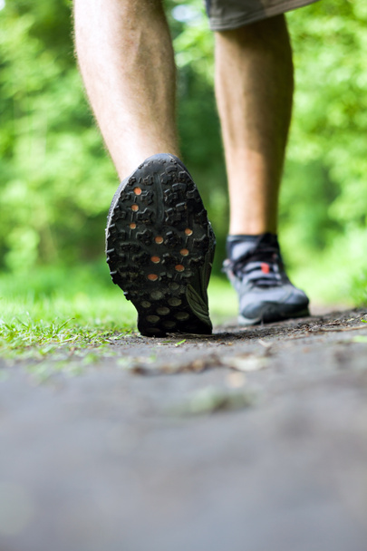 περπάτημα ή το τρέξιμο σε μονοπάτι στο δάσος καλοκαίρι - Φωτογραφία, εικόνα