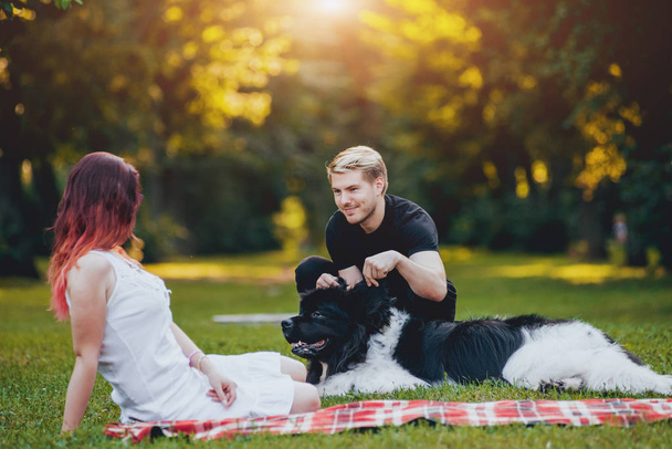 Black and white Newfoundland dog plays with young caucasian couple in green park - Фото, изображение