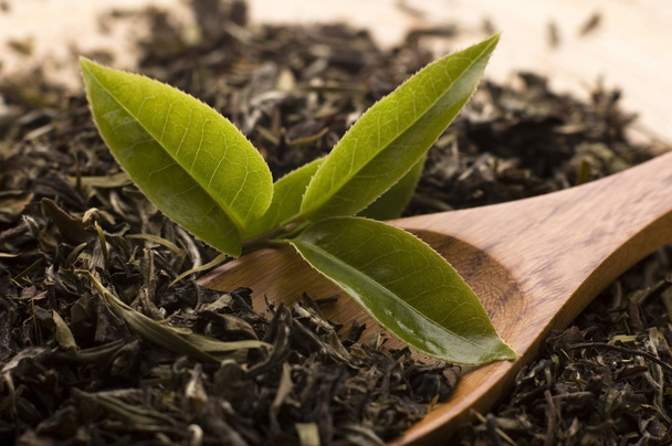 Zielona herbata - Zdjęcie, obraz